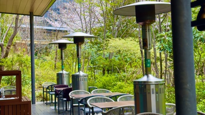 **都会の森に佇む一軒家レストランでお花見ランチ**