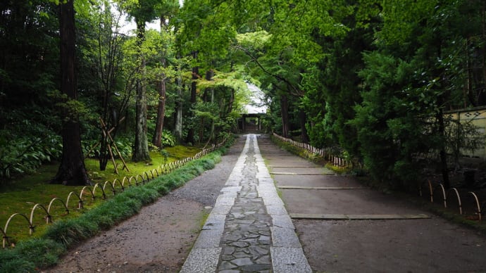 過去写真　鎌倉　寿福寺