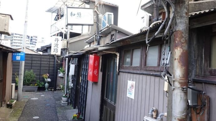 散歩写真 22/12/13