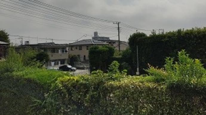 息子っち、職場体験!