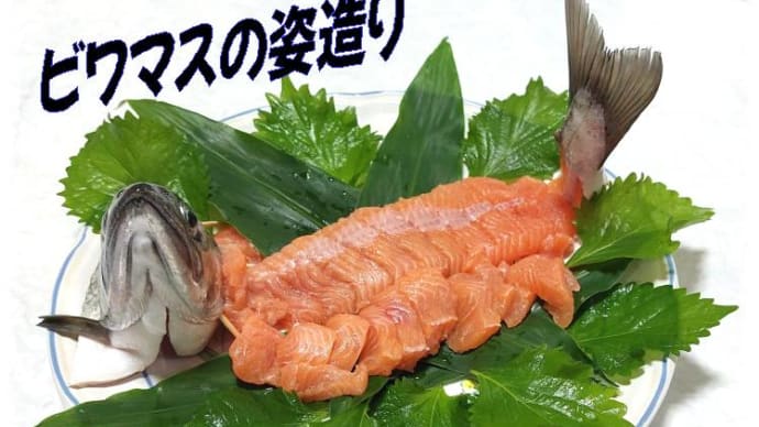 びわ湖固有種「ビワマス」🐟姿造り~レア度MAX、トロける~食感ゲットだぜぇ~!&究極のびわ湖味噌汁
