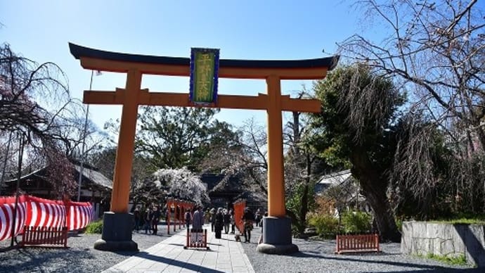 平野神社 '20 桜