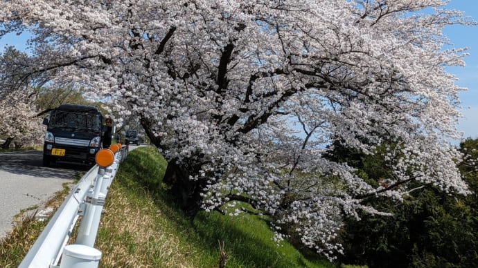 木曽川堤の