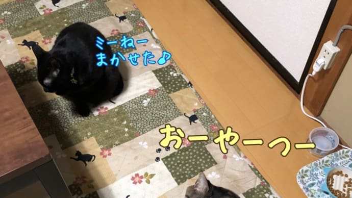 ちゅ〜る変わった?