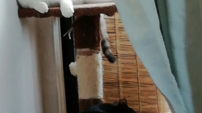 今日はお休み😪