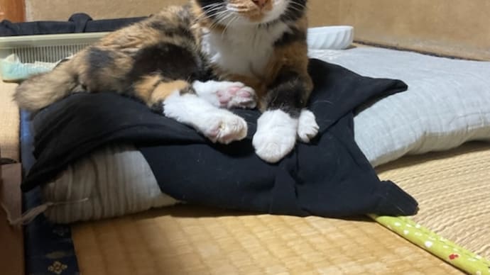 災害の時1番大事なものは?