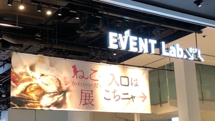 ねこがかわいいだけ展