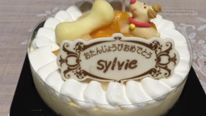 シルヴィ12歳になりました♪