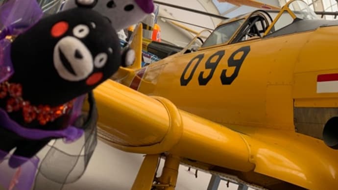 ❤️ ②所沢航空発祥記念館でコロナを吹っ飛ばせ❤️