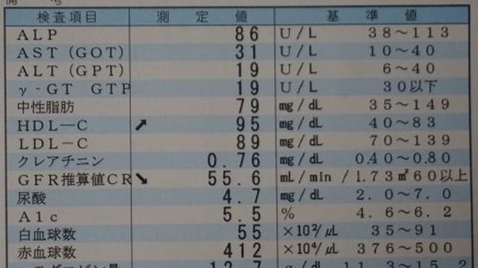 健康診断/庭の花