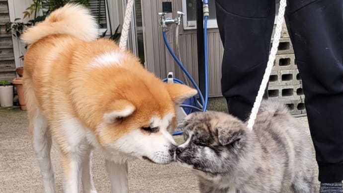 ご迷惑おかけしました🙏