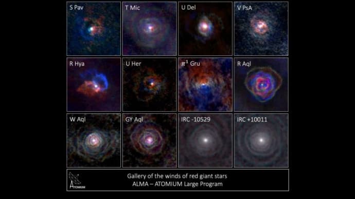 “赤色巨星”は球体なのに、なぜ非対称な“恒星風”が作られるのか? 太陽が最期を迎える50億年後の姿も気になって来る。