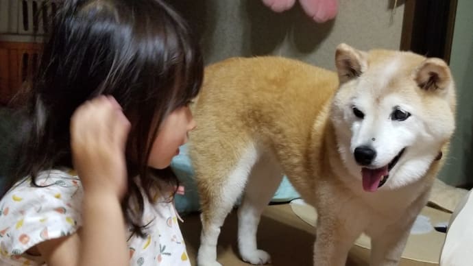 クリンと会話する(?)