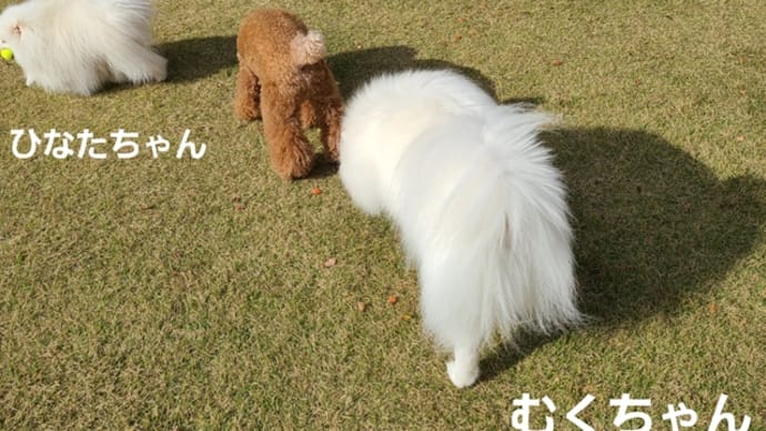 goo ブログ