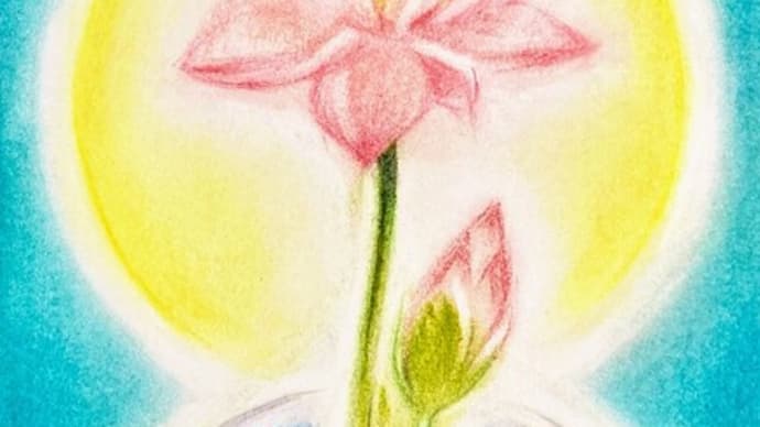 蓮の花から穏やかの海を