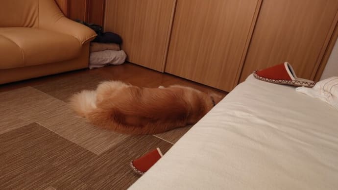 草むらばかり歩いているから・・・(=_=)