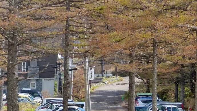 秋10月・・・上信国境・・・高峰高原の風景