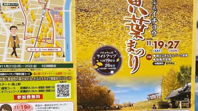 第25回そぶえイチョウ黄葉まつり