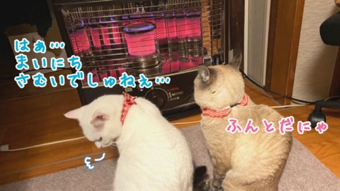 かほーはねてまつのにゃ