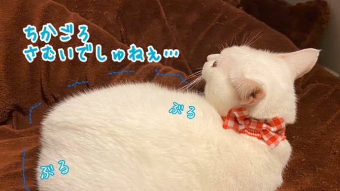 寝るんかーい!と、鬼滅の刃観て来ましたの巻