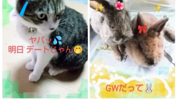 4月の後半のまとめ part.3