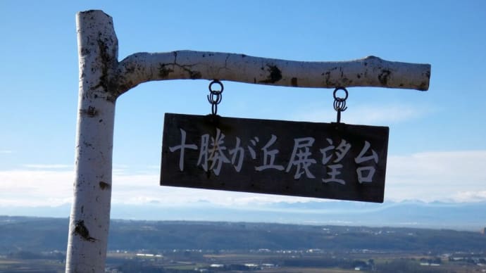 十勝が丘展望台へ