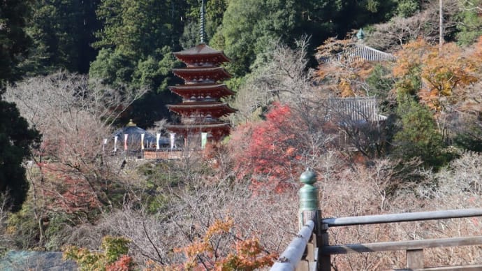 西国33観音巡礼3日目 (8番札所 長谷寺 番外札所 法起院)