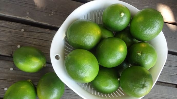 「柑橘系」は、暑い夏が平気!