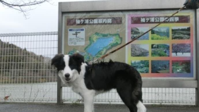 勝浦タンタン食べたくて木更津に　行ってきました