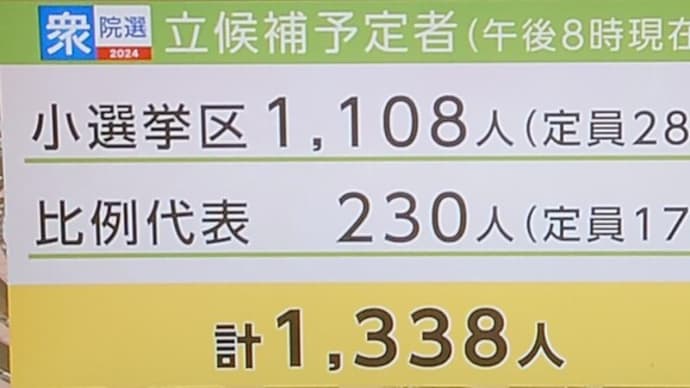 【衆議院選挙】【選挙】【高齢者問題】【AI問題】【政治】