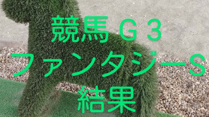 レース結果 G3 ファンタジーステークスを振り返る