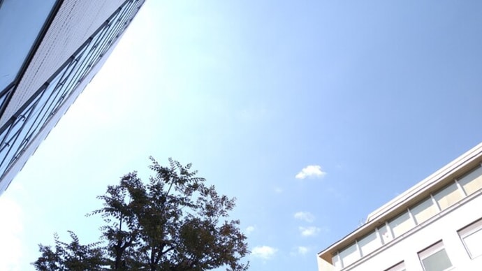 秋深し 隣は何をする人ぞ・・・