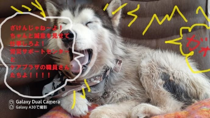ここでリセット!