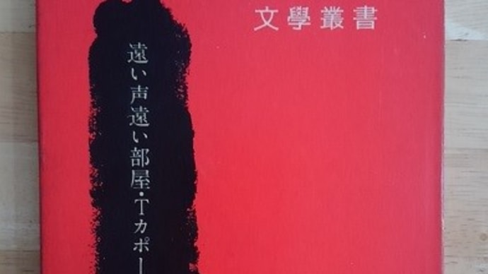 『遠い声、遠い部屋』 トルーマン・カポーティ著 新潮社
