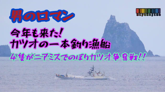 今年もこの光景が！男のロマン！上り鰹を追い求めて