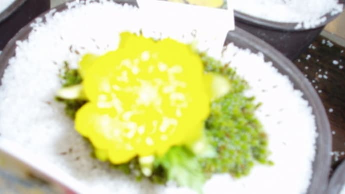 曇りのち晴れ