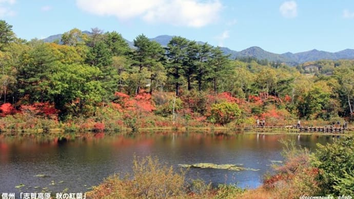信州、標高の高い山々は紅葉が始まっているようですヨ！