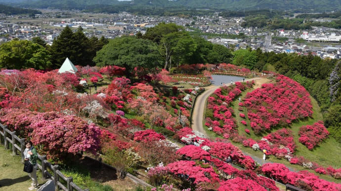 つつじ狩り 茨城県笠間市笠間 第52回笠間つつじまつり(4)身代わり観音、本部屋上