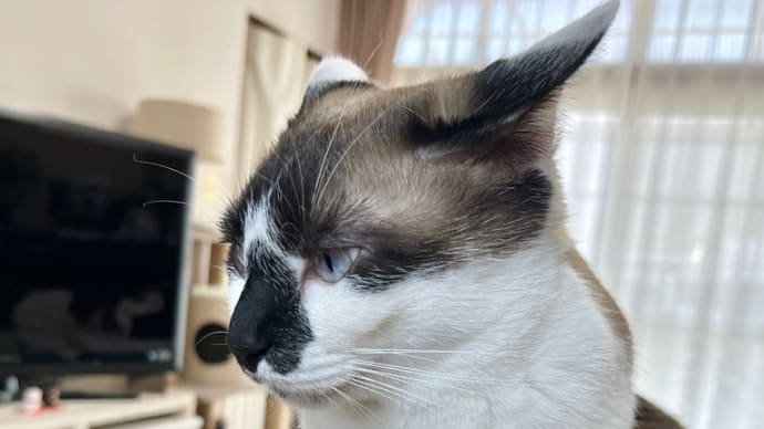 私の不注意です