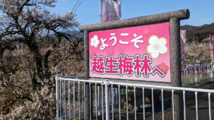 埼玉日帰りドライブ