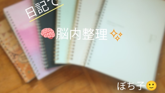 【脳内整理】ぼち子の日記 2