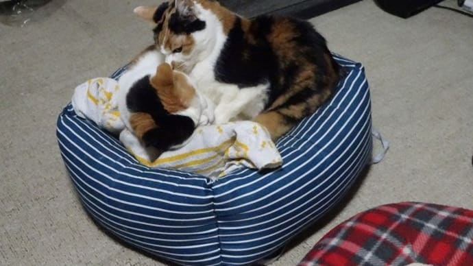 あんたや