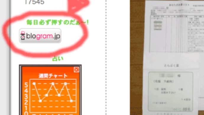 KiTT改め"blogram"