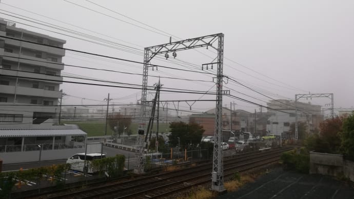 深い霧のあとの秋の京都!