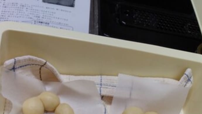 コミセンでパン教室