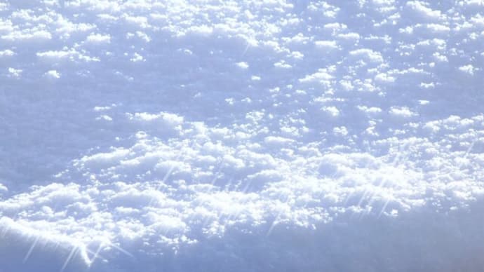 雪降る夜の訪問者
