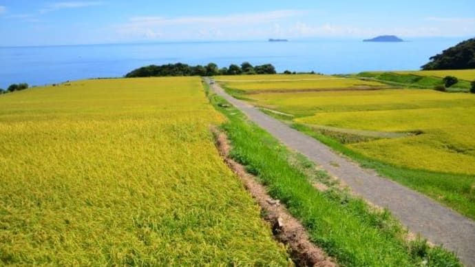 丹後半島の棚田
