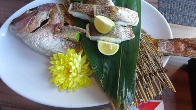 鯛の尾頭付きで三年ぶりの女子会!肉割烹とブルワリー🍺新宿