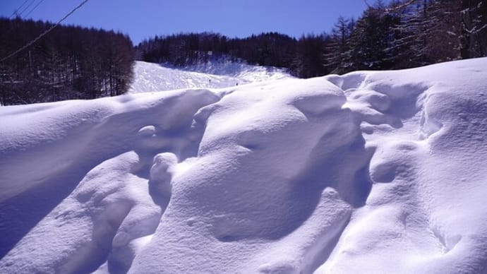 入笠山 雪の森を歩くのが楽しい