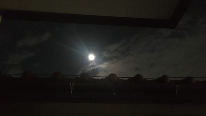 今日は満月🌕